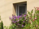 Un jardin sur ma fen�tre