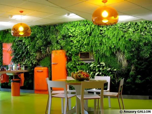 Mur végétal réalise par les jardins de Babylone