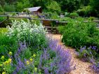 Les jardins écologiques de Terre Vivante en juillet