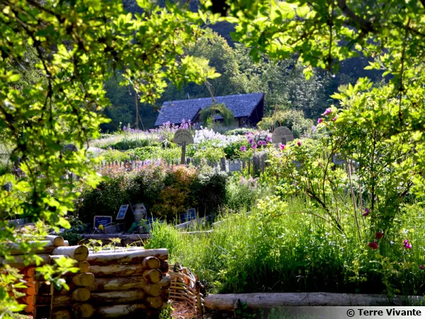 Pour un beau jardin accueillant la biodiversité, utilisez les traitements naturels (Jardins de Terre Vivanate)