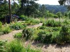 Le potager familial des jardins écologiques de Terre Vivante