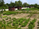 Les jardins familiaux