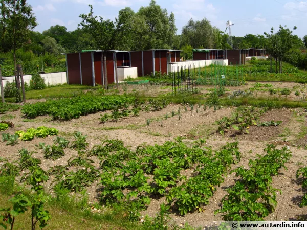 Des jardins familiaux aux jardins partags