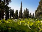 Villa della Pergola, le bassin de lotus Villa della Pergola, le bassin de lotus