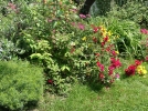 La biodiversit en juillet