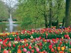 Le parc de Keukenhof en Hollande, bassin et sa fontaine