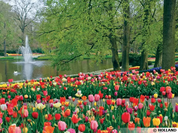 Le parc de Keukenhof en Hollande