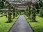 Le jardin botanique royal de Kew