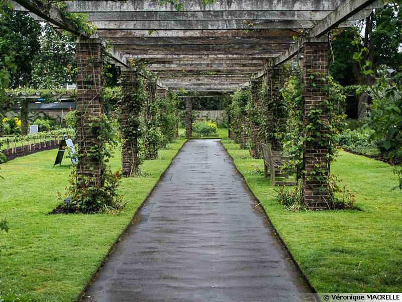 Le Jardin Botanique Royal De Kew