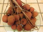 Litchi sinensis Litchi sinensis