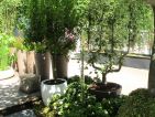 Luc ÉCHILLEY, Le jardin-Container, pots bordant une allée