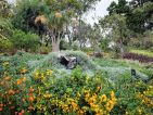 Madère, le Jardin botanique de Funchal Madère, le Jardin botanique de Funchal