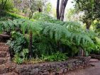 Madère, le Jardin botanique de Funchal Madère, le Jardin botanique de Funchal
