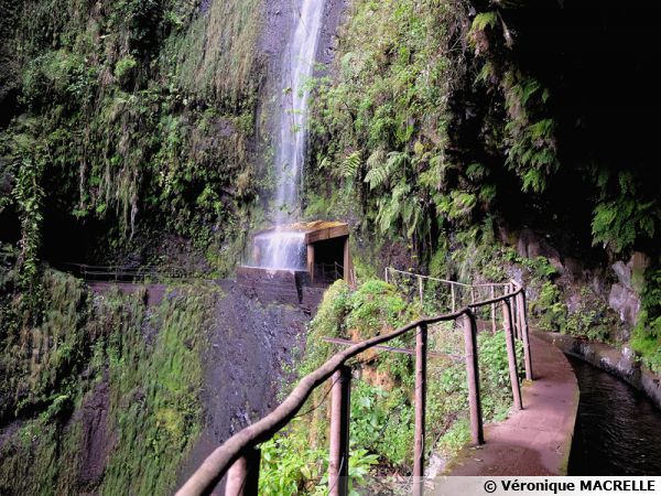 Madère, le long de la Levada da Central da Janela