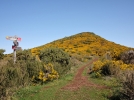 Madre, le plateau Pal da Serra