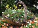 Le concours des Villes et Villages Fleuris