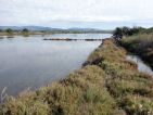 Les anciens salins du midi et ses flamands roses à Hyères les palmiers Les anciens salins du midi et ses flamands roses à Hyères les palmiers