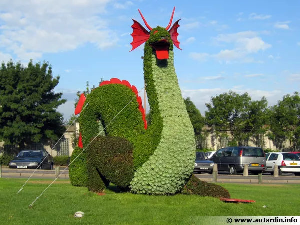 Le dragon en mosaïculture une fois son installation achevée !