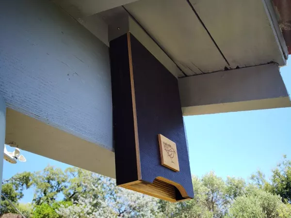 Installez un nichoir  chauve-souris
