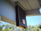 Comment attirer les chauves-souris dans son jardin?