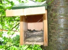 L'entretien des nichoirs