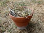 Mettre des herbes sèches dans un pot en terre cuite
