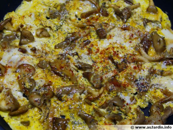 Une omelette aux champignons, facile et rapide