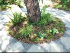 Jardin d’Essai 2014 de l’Observatoire des Tendances du Jardin, vue 2