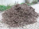 La biodiversit en dcembre