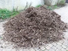 La biodiversit� en d�cembre
