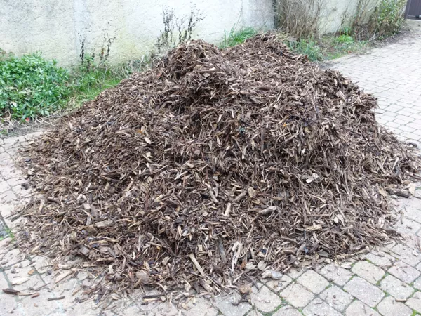 Dcembre, paillez les massifs, une riche faune s'y installera