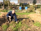 Le paillage d'hiver, pourquoi et comment?