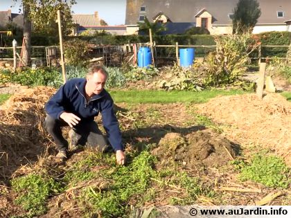 Paillage d'hiver : le geste indispensable pour �viter le lessivage des sols