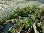 Parc zoologique de Paris, la grande serre