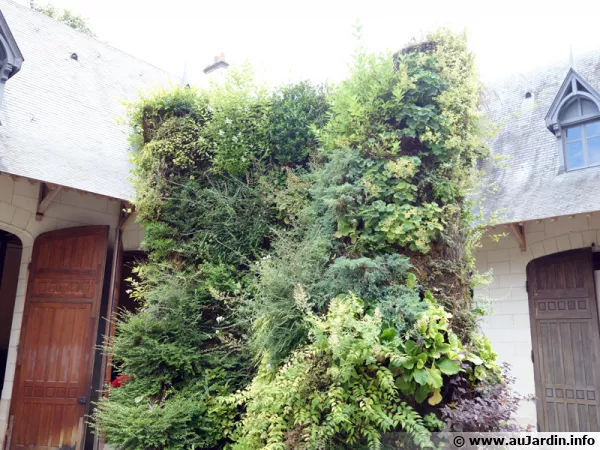 La spirale végétale de Patrick BLANC, un mur de végétaux visible à Chaumont sur Loire
