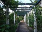 Le jardin des orchidées de Sitio Litre à Ténérife, une pergola ombragée