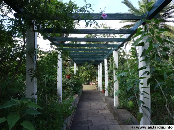Une pergola pour habiller une allée