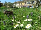 D�marrer en permaculture : premi�re approche pour un jardin durable