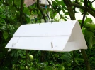 Les pi�ges � ph�romones