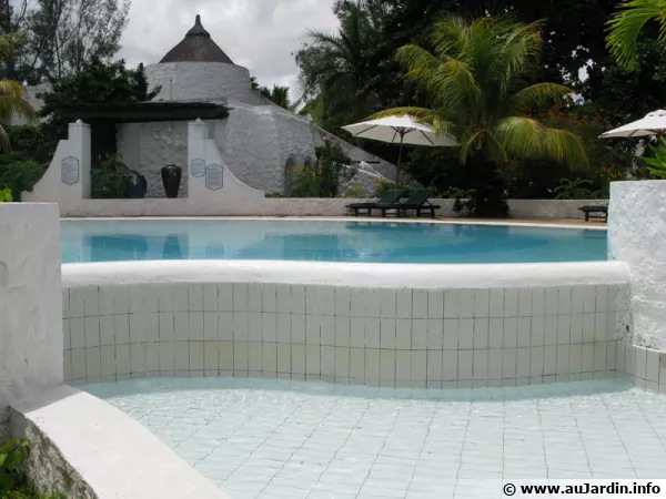La piscine  dbordement