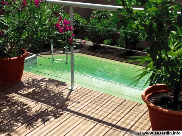 Piscine : que faire si l'eau devient verte ?