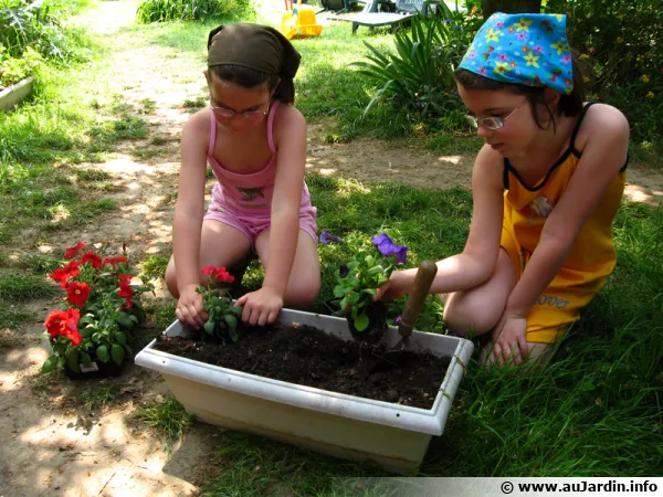 Utilisation de terreau adapté à la plantation en jardinière