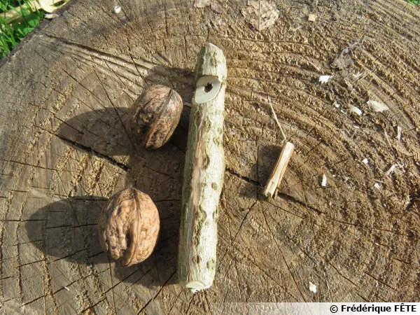Plantes musiciennes, les sifflets