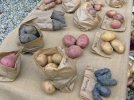 Les diffrentes varits de pommes de terre