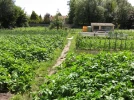 D�finir les dimensions de son potager