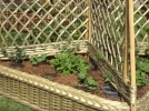 Crer un potager surlev