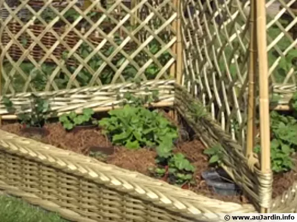 Un potager surlev avec du rotin