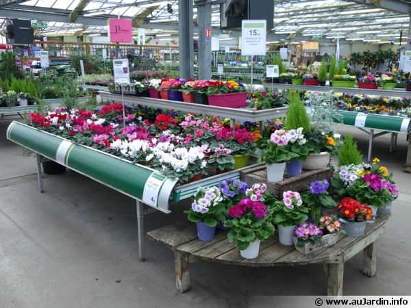 Fin de l'hiver, prudence dans vos achats !