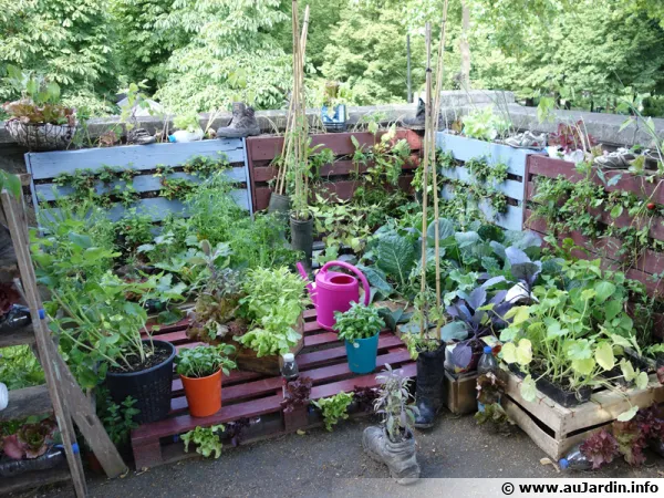 Tout recycler au jardin ! Palettes, chaussures, bouteilles, pots, ...