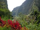 Les réserves biologiques de l'ile de la Réunion